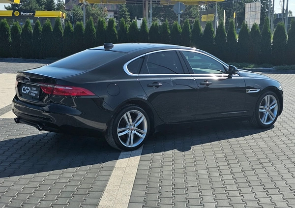 Jaguar XF cena 39900 przebieg: 91101, rok produkcji 2016 z Środa Śląska małe 781